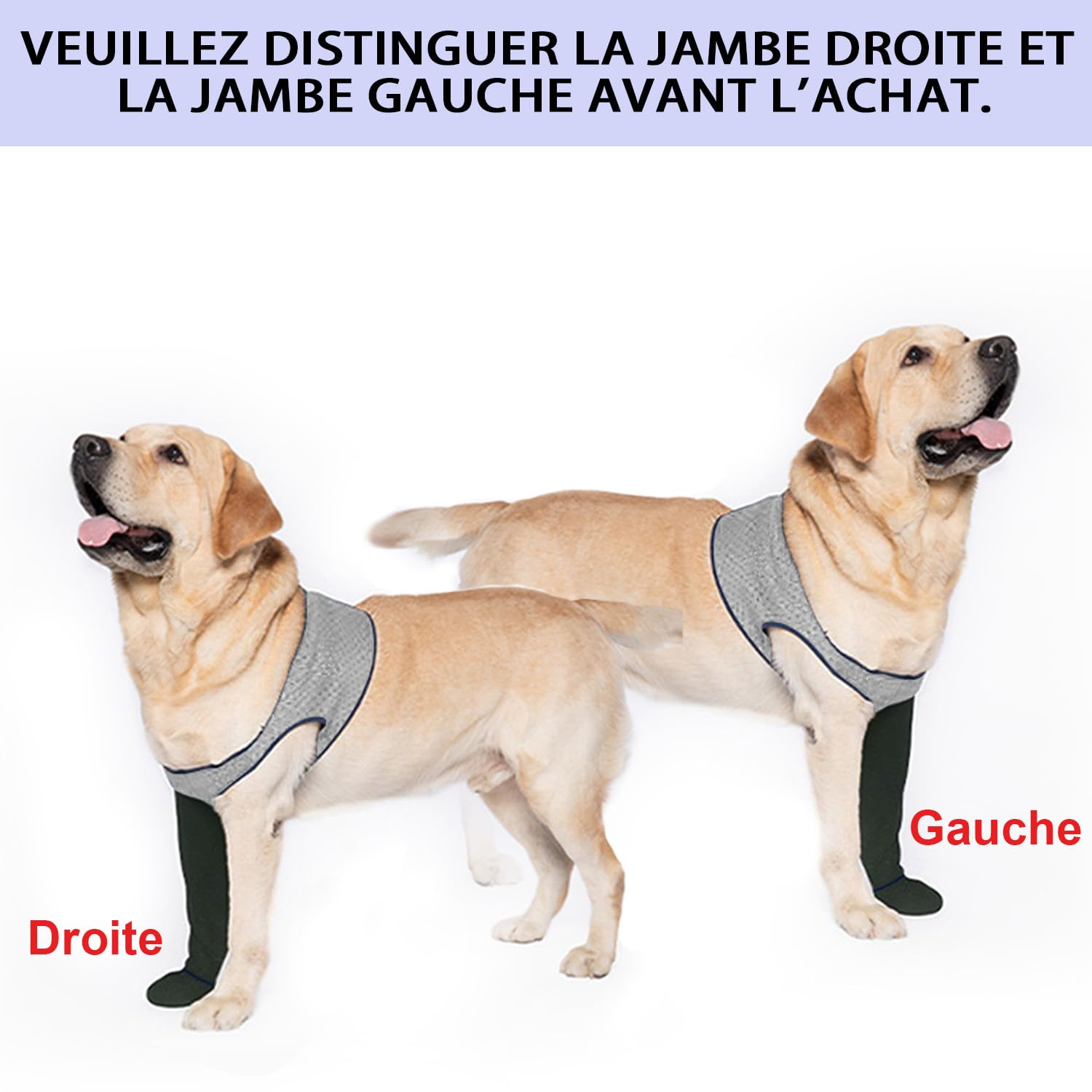 COODEO Chaussettes pour Chien, Bottes de Soin & protecteurs de Pattes Anti-dérapants, Chaussures étanches pour empêcher Le léchage (Gris, 3XL_Gauche)