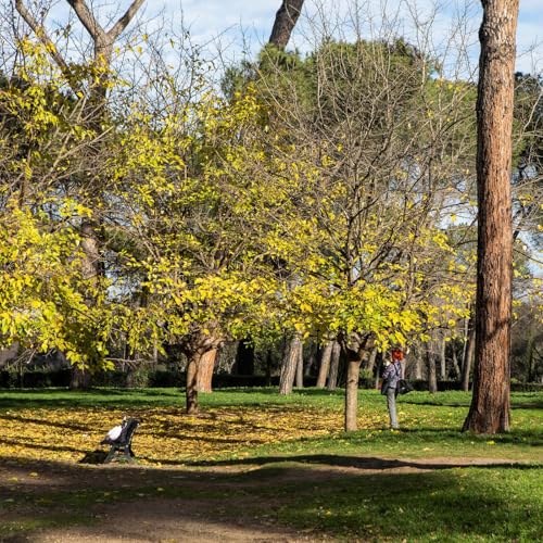 #742 Cittadini contro lo stadio AS Roma e giunta Gualtieri: a Pietralata non passano!, stangata su cibo e sanita' e altre storie di Roma copertina