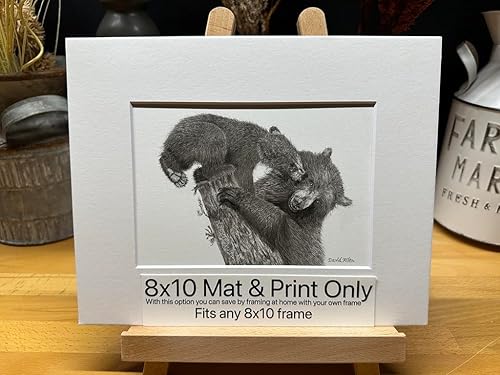 Black Bear Nature Wildlife Graphite Pencil Art Sketch Drawing Print Picture Limited Edition Titled 'Playful Beginnings' by David Allen (8x10 Mat &