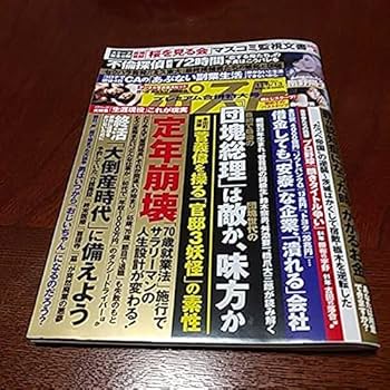 Amazon.co.jp: 週刊ポスト 116,13南野陽子、森咲智美 歌手 女優