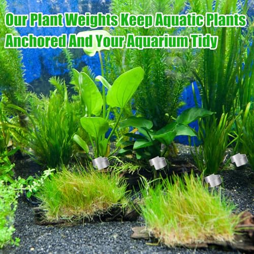 5 Bände Biegbar Pflanzenanker Aquarium,Metall Pflanzenanker Gewichte für Wasserpflanzen Pflanzenhalter für Aquarium Lebende Pflanzen im Aquarium Verhindert Schwimmen