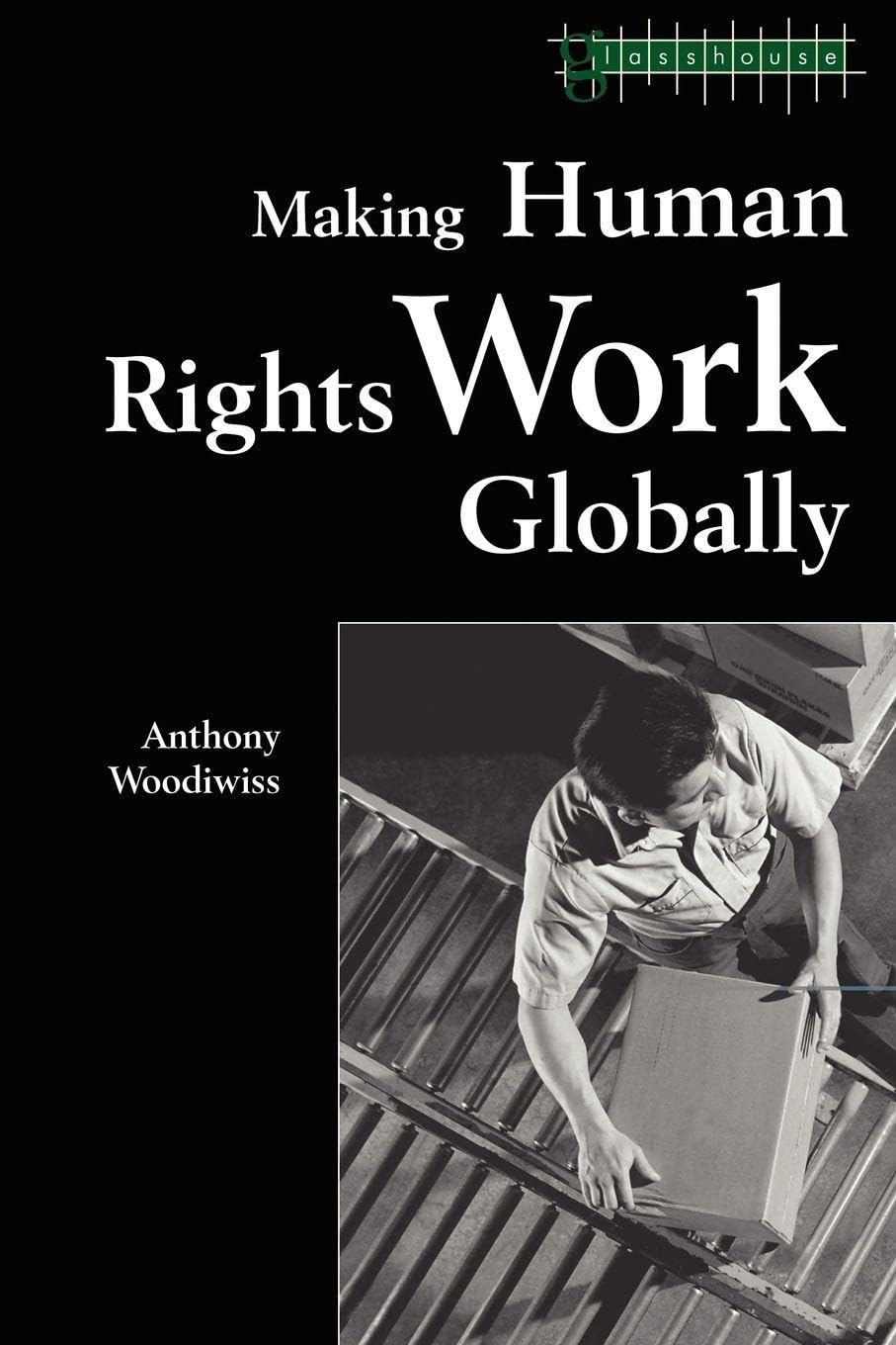 Buy Making Human Rights Work Globally (Glasshouse S) — BookShops.in