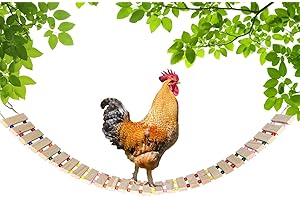 Vehomy Wooden Chicken Coop Toy: A Haven for Happy Hens