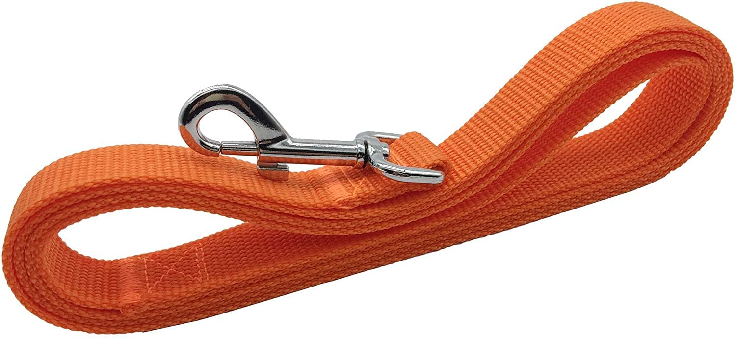 TAIAN Correa para Perros de Nailon Resistente de 1,2 m, para Perros pequeños, medianos y Grandes (1,9 cm x 1,5 m, Naranja)