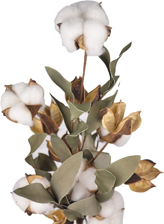 Amazon Dreameryoly コットンブーケ 北欧の造花 牧歌的な風 ドライフラワー 綿のブーケ ドライフラワー インテリア 枝 綿花 コットンボール ホーム装飾 結婚式 店舗 撮影アクセサリー 飾り物 フラワーギフト 造花 オンライン通販