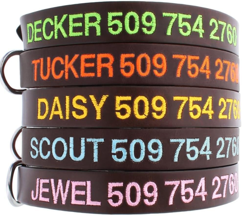 GoTags Personalized Leather Dog Collar, Custom Embroidered with Pet Name and Phone Number, Soft Leather with Rounded Edges for Comfort Fit in Small, Medium, or Large; Male or Female Dogs