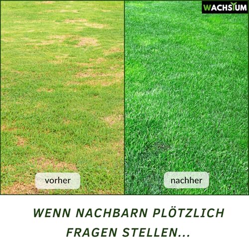 Rasensamen schnellkeimend 1kg 40qm – Frühjahr und Sommer Premium Grassamen Nachsaat, dichter strapazierfähiger Rasen, Mähroboter geeignet – kräftiges Wachstum, RSM Qualität,