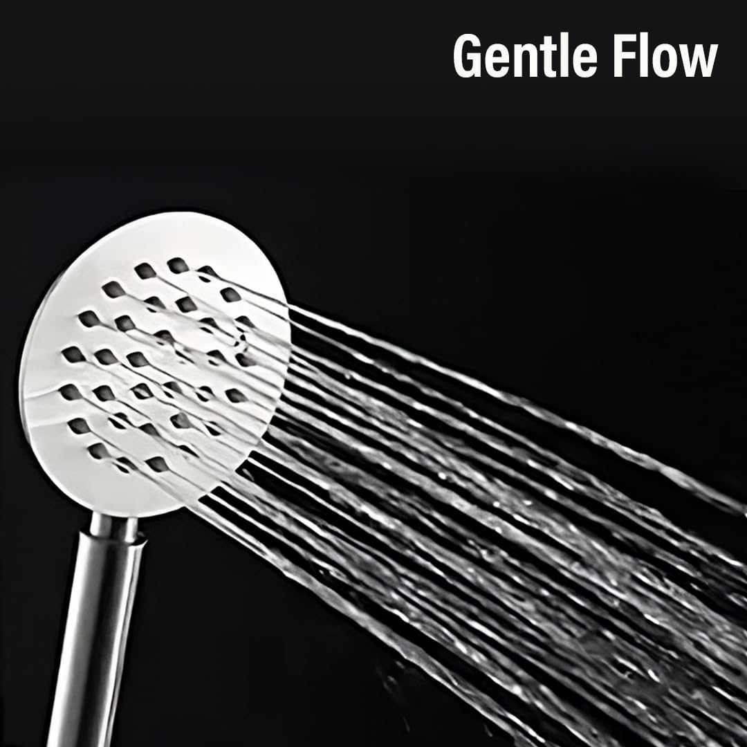 RN SS Hand Shower Aston, Round