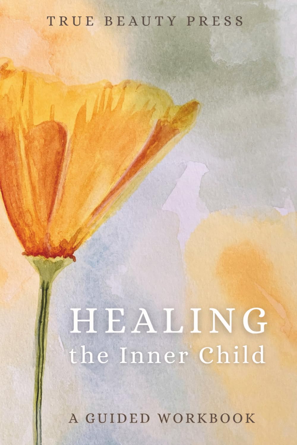 Healing the Inner Child: a 10-minute-a-day workbook to help you feel better