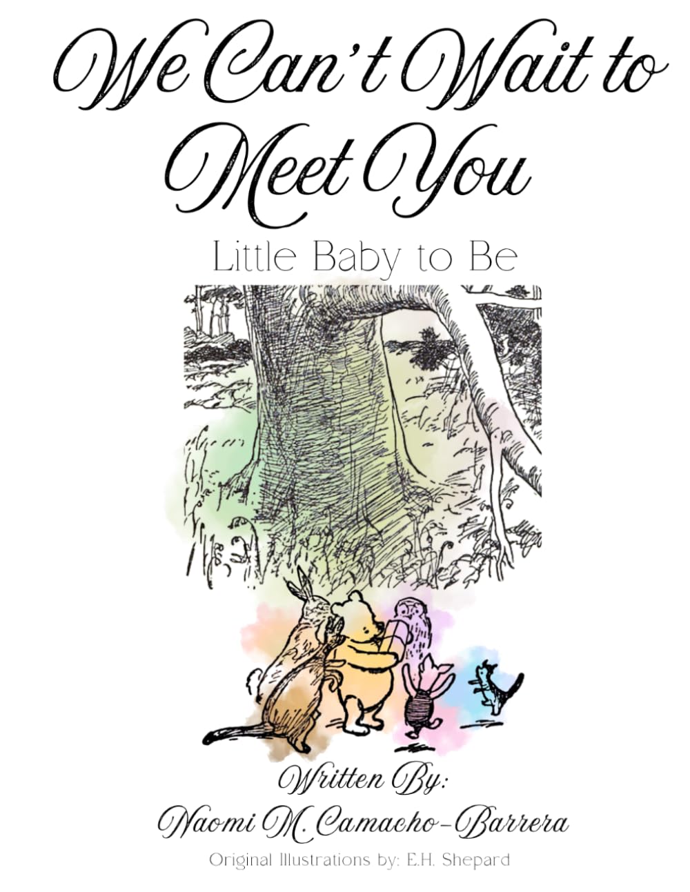 We Can't Wait to Meet You: Little Baby to Be