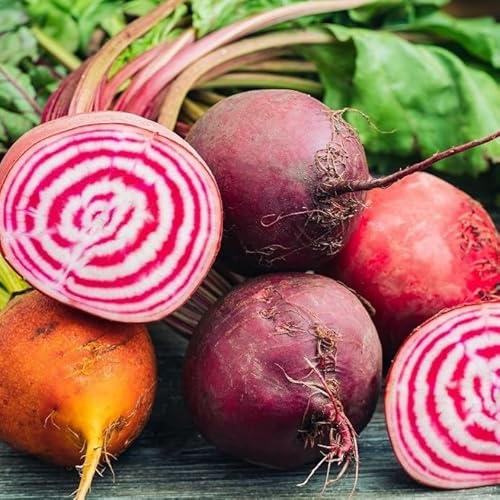 PREMIER SEEDS DIRECT - Beetroot - Rainbow Mix - 6 Grams