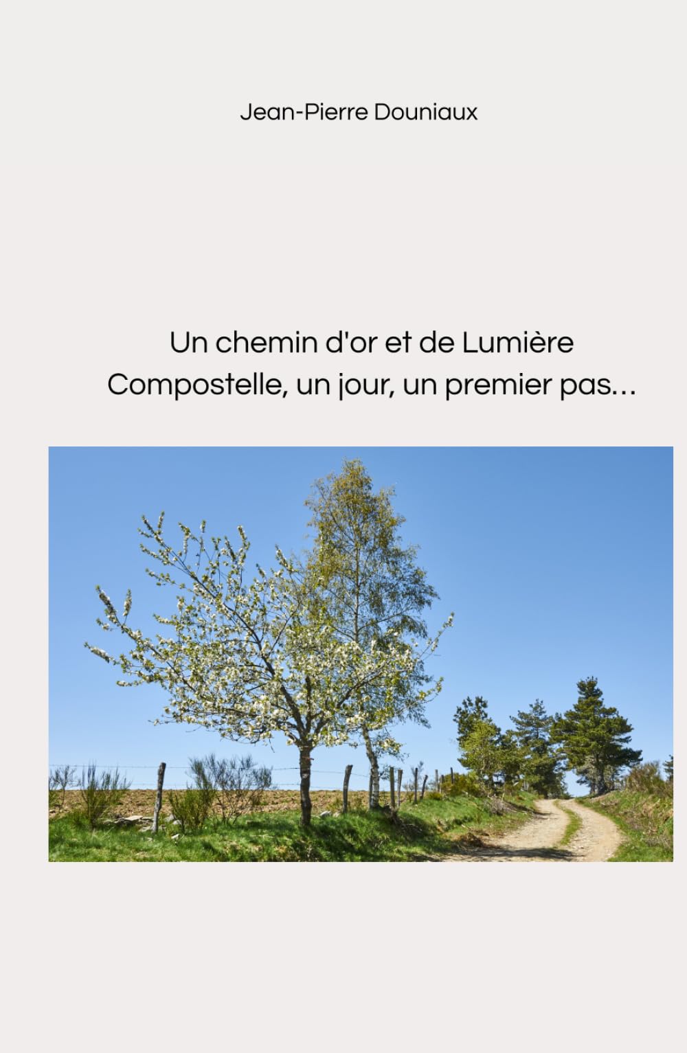 Un chemin d'or et de Lumière: Compostelle, un jour, un premier pas…