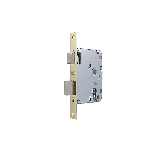 Cerraduras Tesa - Cerradura Tesa R/4010-P-50 G/Ll Hl S/Cil - Latonado En Oferta Tesa Assa Abloy 40105Phl Cerradura 2010/50 Hl S/Bomb, Hierro Latonado, Entrada 50 Mm