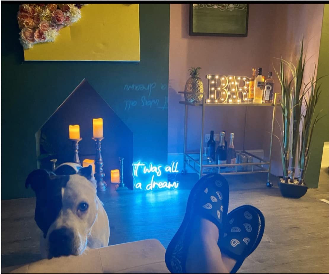 LED Neon Zeichen Stimmungsbeleuchtung LED Innenbeleuchtung Dekoration Lampe Schlafzimmer Café Bar Shop Club Garagen USB Stromversorgung Verstellbare Helligkeit