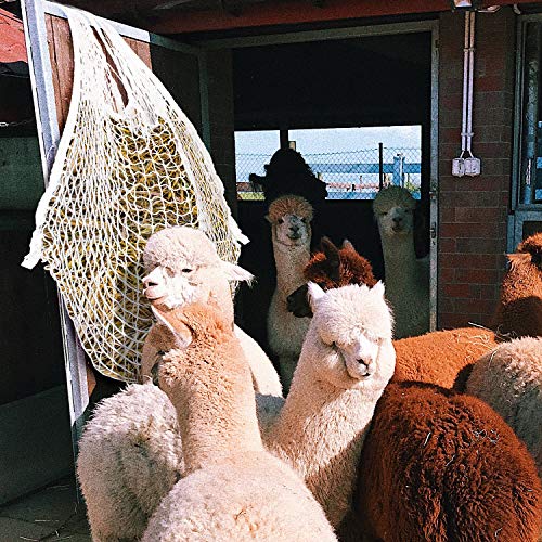 Hoplugge Heunetz voedernet net hooitas extreem scheurvrij 3x3 cm, mazen geschikt voer verbeterde spijsvertering hooizak… - Image 5