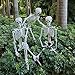 5.4ft/165cm Halloween Skeleton,Life Size Skeleton Plastic Full Body Human Bones with Movable Joints for Halloween Patio Lawn Yard Garden Party Prop Decoration