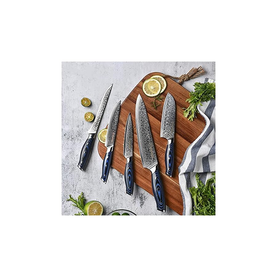 Damascus-Knife-Set-5Pcs-Damascus-Kitchen-Knives-Set-67-Layers-vg10-Japanese-Damascus-Steel-Chef-Santoku-Boning-Utility-Damascus-Knives Damascus Knife Set, 5Pcs Damascus Kitchen Knives Set 67 Layers vg10 Japanese Damascus Steel Chef Santoku Boning Utility Damascus Knives