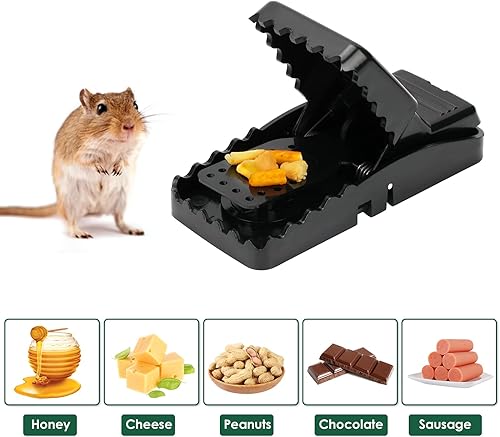 Miniatura 6 de Paquete de 12 trampas para ratones con 1 abrazadera, trampas para ratones para interiores para el hogar, trampas humanas para ratones con 12 trampas