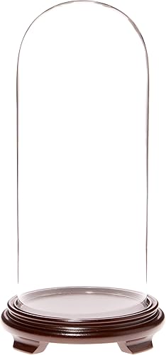 Miniatura 1 de Plymor Cúpula de cristal de 5.5 x 13 pulgadas (base con patas de chapa de madera de nogal)