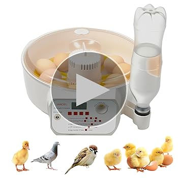 孵化器　インキュベーター　JANOEL24 Amazon.co.jp: LifeBasis 自動孵卵器 インキュベーター 鳥類専用ふ卵器