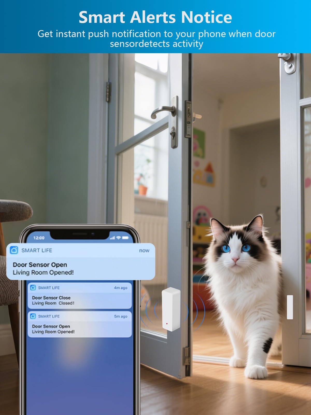 Capteur de porte WiFi, capteur de fenêtre intelligent sans fil, compatible avec Alexa et Google Assistant, notifications en temps réel, installation facile, pas de hub nécessaire