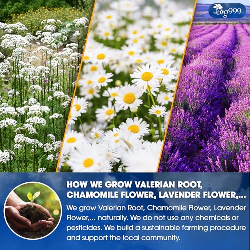 Image of TOG999, Premium Valerian Dream Tea Bags | 60 Count | Herbal Blend with Valerian Root, Chamomile, Lavender, Rose Petal & Spearmint | Naturally Caffeine-Free, Relaxing Evening Tea. Vegan.