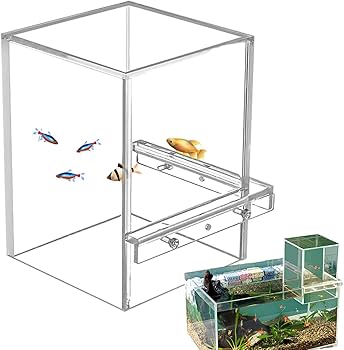 Amazon | Quzente アクリル小型真空浮遊水槽、魚用水槽、自動給水、多