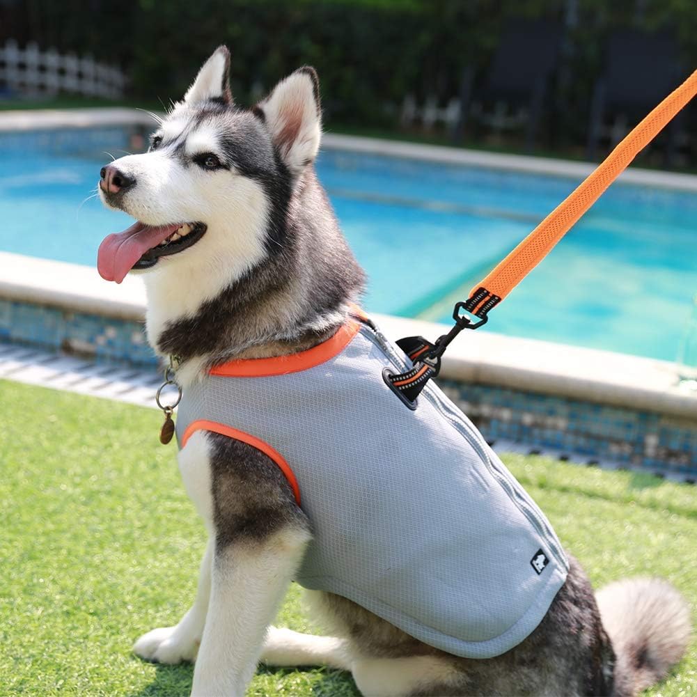 juxzh Truelove Gilet de Refroidissement pour Chien avec Fermeture Éclair réglable pour Chasse, entraînement et Camping