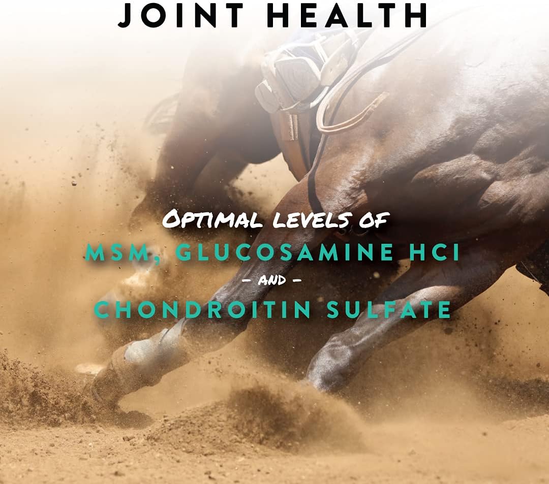 Manna Pro Sho-Flex | Advanced Joint Supplement for Horses | 5 Pounds : Horse Nutritional Supplements And Remedies : Pet Supplies