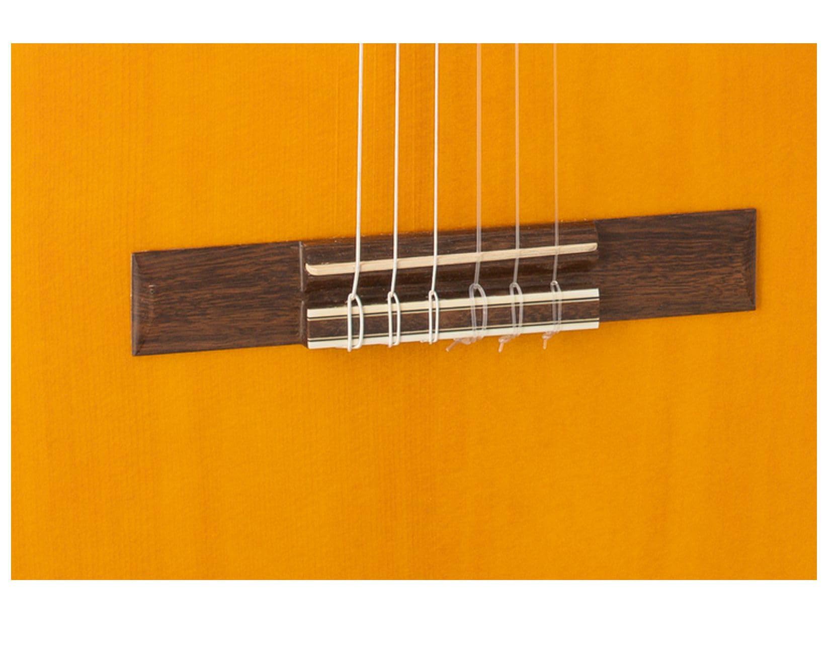 Guitare flamenca Triana Admira+Étui Ukam rembourrée 5mm. avec frappeur inclus (avec étui)