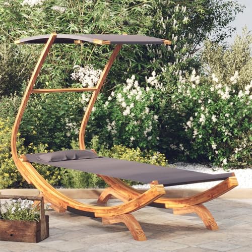 Fasba Tumbona con Dosel para relajación al Aire Libre - Estructura de Madera Maciza, Tela fácil de Limpiar, protección Solar - Color Antracita Modelo DSXFCLYD-313944ES