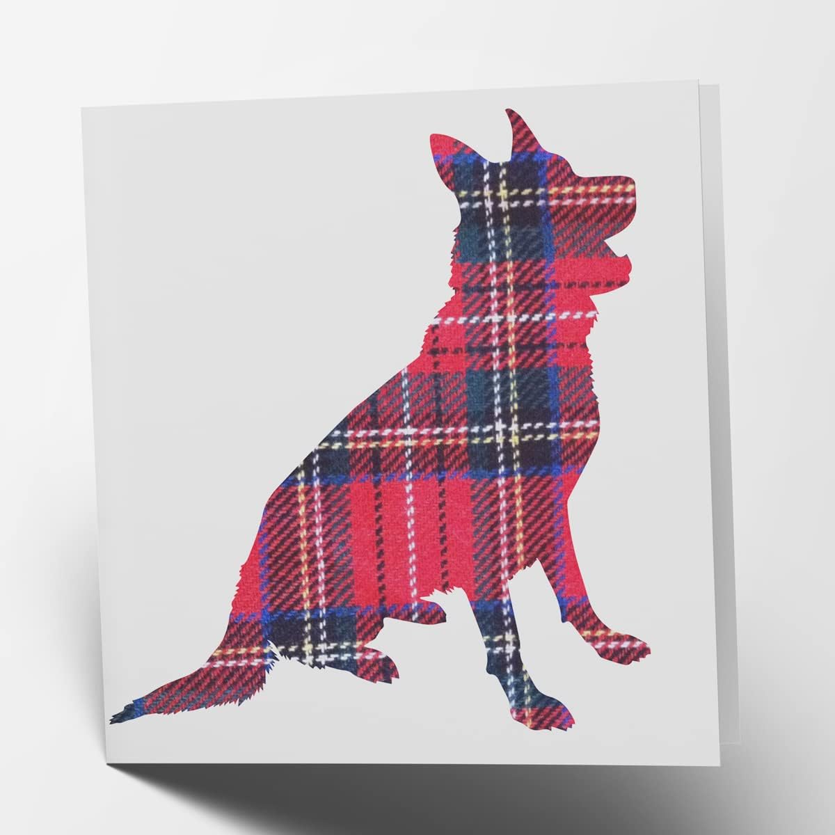 Maturi Blank Greetings Card with Tartan Standing Highland Cow Image, 6” x 6” Square