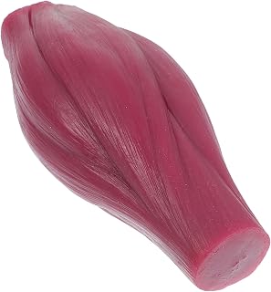 Healifty 1 Pound Muscle Educational Tool Human Body Anatomy Display Model for Education and Fitness Demonstration