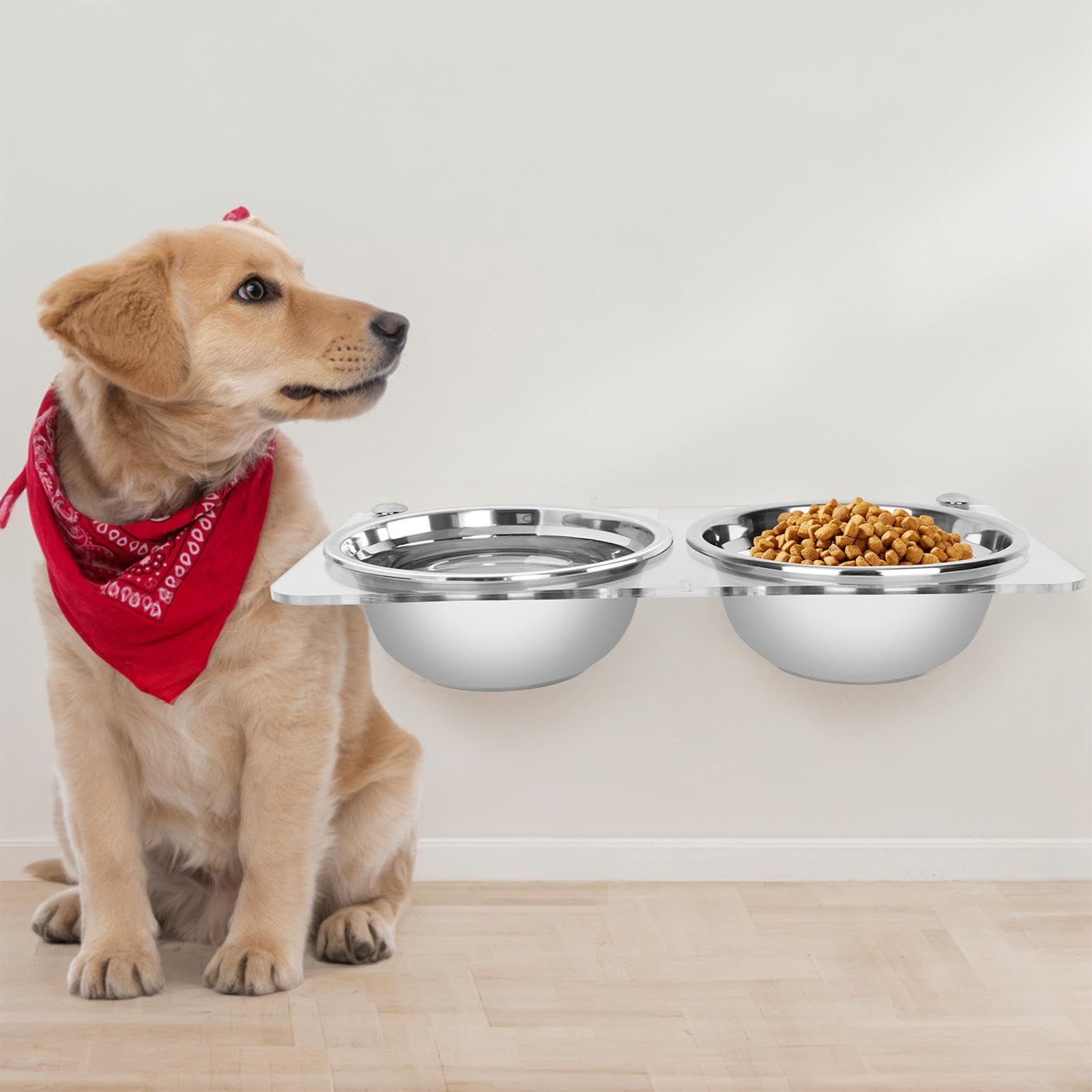 Mangiatoia rialzata per animali domestici, 38,5 x 20 cm, supporto per | ciotole in acrilico da parete, set di doppi in acciaio inossidabile, stazione 'acqua per cibo da appendere, supporto