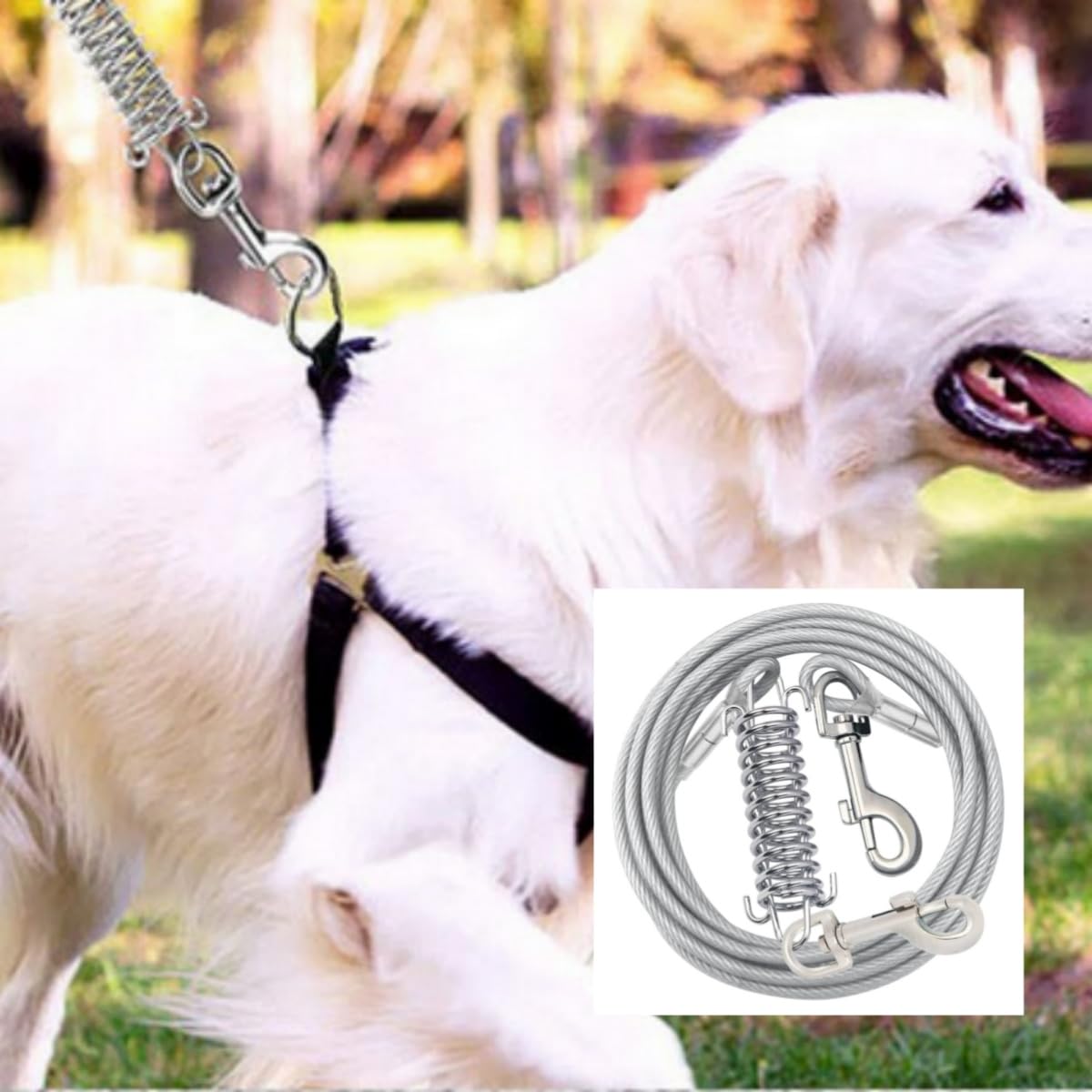 Câble d'attache pour chien de 5 m de diamètre - Chaîne robuste avec absorption des chocs - Pour le camping en plein air - Pour chiens de petite et grande taille jusqu'à 150 kg