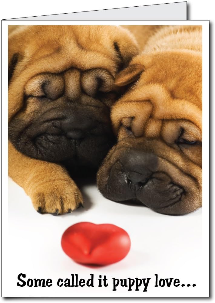 VictoryStore Jumbo Greeting Cards: Huge Anniversary Card(Puppies) 2 feet x 3 feet Card with Envelope