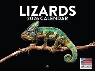 トカゲカレンダー 2026年 トカゲ マンスリー