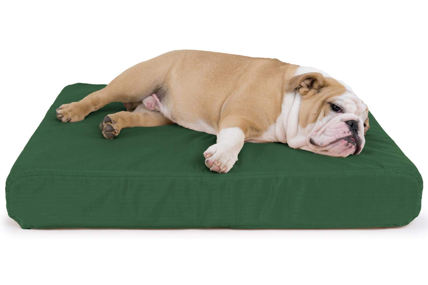 Is There A Indestructible Dog Bed