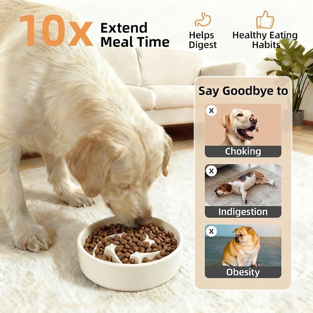 Gamelles en céramique pour chien de petite race, 0,6 tasse pour chien à alimentation lente, gamelle anti-avalage pour chiot réduisant l'étouffement, gamelle pour animaux de compagnie motif