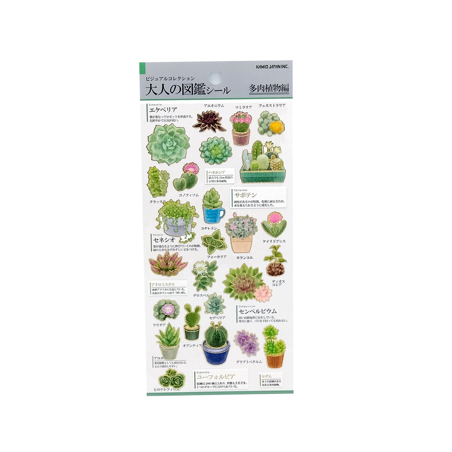 Amazon | カミオジャパン シール 大人の図鑑シール 多肉植物 204766