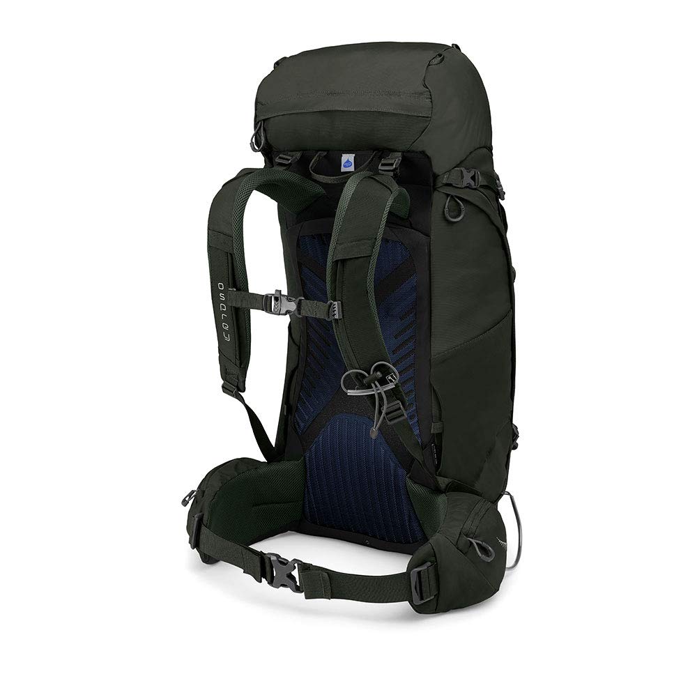 Amazon.co.jp: OSPREY オスプレー ケストレル 48 S/M ピコリーヌ 