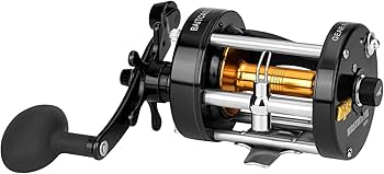 Amazon | KastKing Roverラウンドベイトキャスティングリール