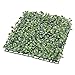 Yescom 24-Pack 10
