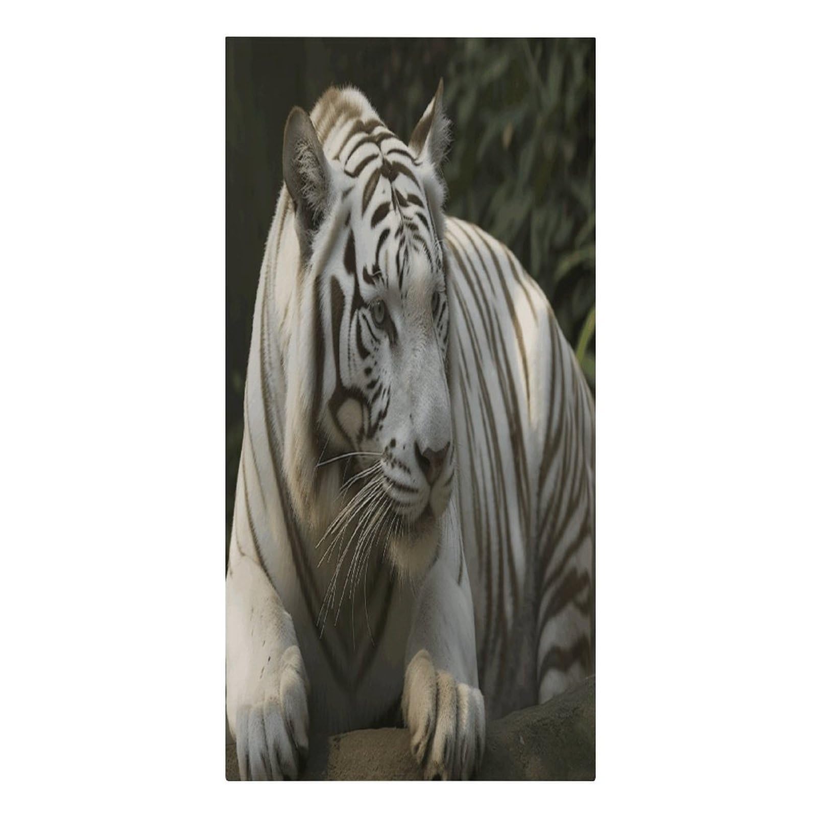 VstaDank White Bengal Tiger Beach Towel Microfiber Oversized Beach Blanket Super Absorbent Soft Pool Bath Towel Sand Free Quick Dry Travel Towels Gifts for Yoga Sports Adults 30" X 61"