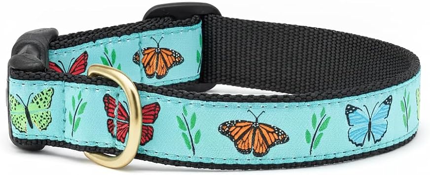 Up Country Butterfly Effect Dog Collar, X-Large 18 to 24 inches 1 inch Wide Width