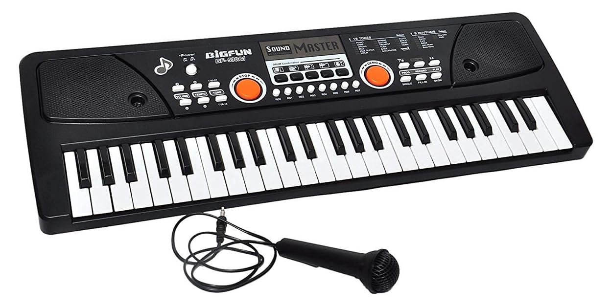Keys Piano Keyboard Electronic Organ Multi-Function Portable with Microphone - Black | Digital Keyboard for Beginner & Professional | (49 Keys)