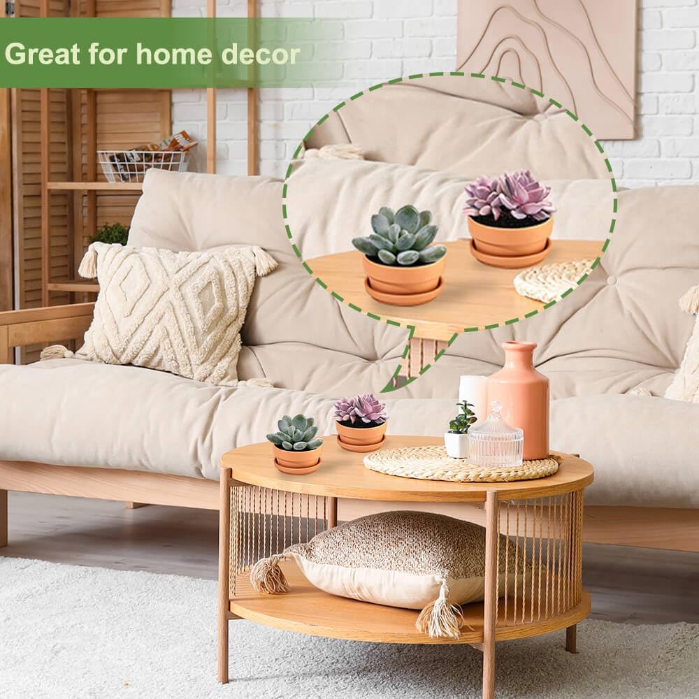Small Shallow Terracotta Pot for Succulent - 6 Pcs Clay Planter Pots with Drainage Hole and Saucer, 5 Inch Shallow Plant Pottery Pots for Cactus Succulent and Other Indoor Outdoor Plants