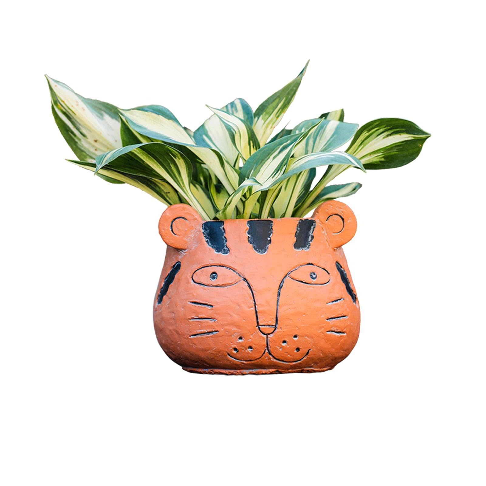 Pots de fleurs en terre cuite pour éviter le pourrissement des plantes