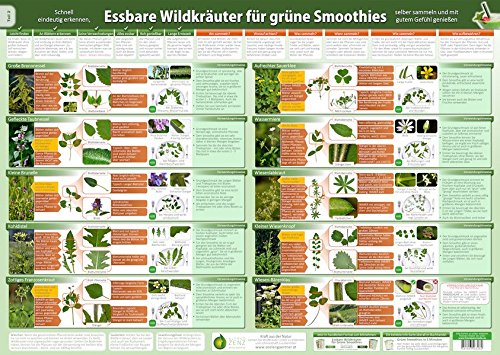 Essbare Wildkräuter für Grüne Smoothies Teil 2- Wandposter (DINA2) - (2020): Schnell eindeutig er Essbare Wildkräuter für Grüne Smoothies Teil 2- Wandposter (DINA2) - (2020): Schnell eindeutig er