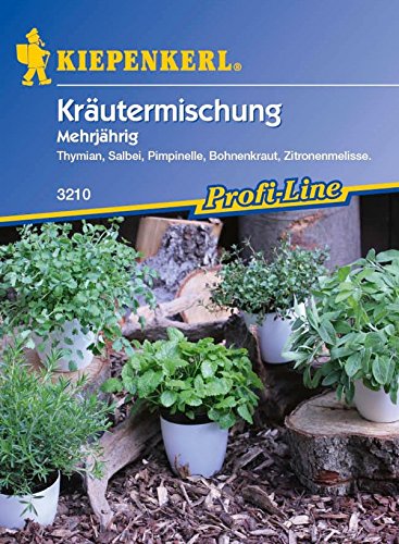 Preisvergleich Produktbild Kiepenkerl, Kräutermischung, mehrjährig, Thymian, Salbei, Pimpinelle, Bohnenkraut, zitronenmelisse